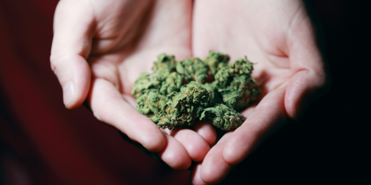 Mi az a THC?