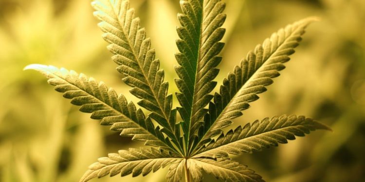 Mi az a CBD?