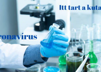 Covid 19 – a CBD tekintetében