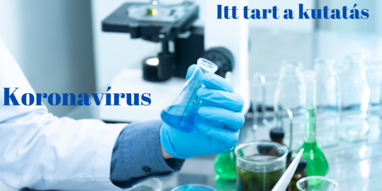 Covid 19 – a CBD tekintetében
