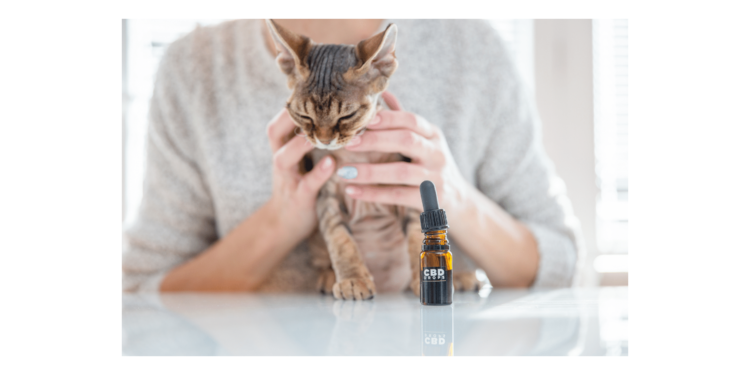 Ne akkor próbáld a CBD-t, ha már minden mást kipróbáltál!