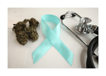 Szívbetegség esetén használhatom e a CBD-t?