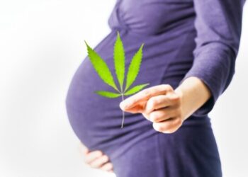 CBD használata a terhesség  alatt