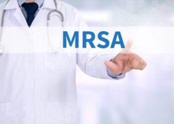 Kannabisszal a baktériumok ellen. Fókuszban az MRSA
