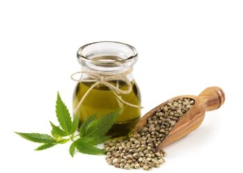 Mi a különbség a kenderolaj és a CBD olaj között?