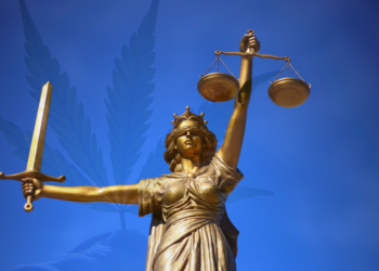 Legalizálták személyes használatra a marihuána termesztését és használatát 18 éves kor felettieknek