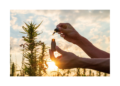 CBD daganatos megbetegedésekre