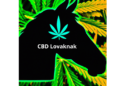 CBD olaj lovaknak