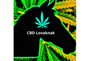 CBD olaj lovaknak