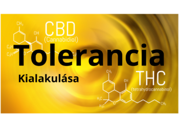 Hosszútávú CBD fogyasztás esetén tolerancia alakulhat ki?
